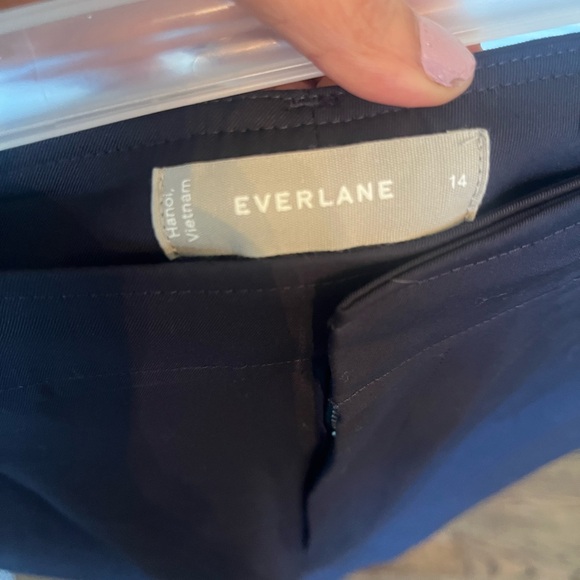 Everlane  Dress Pants Straight-Leg Pleats size 14 - Picture 3 of 5